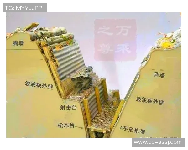 深入分析南京排球队的防反战术及其在比赛中的应用与效果