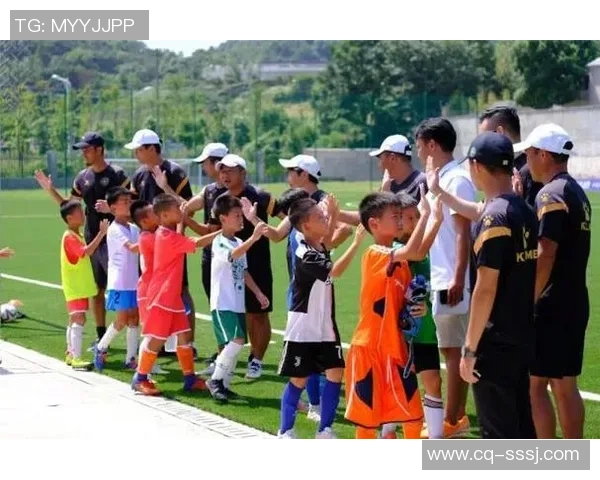 浙江绿城足球学校学费解析及性价比评估助你选择合适的足球培训机构